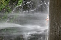 IMG_9364