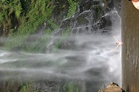 IMG_9365