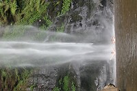 IMG_9375