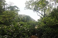 IMG_9380