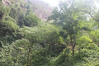 IMG_9381