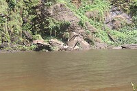 IMG_9391
