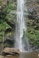 IMG_9397
