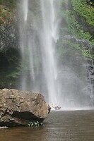 IMG_9398