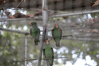 IMG_9399