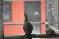 IMG_9400