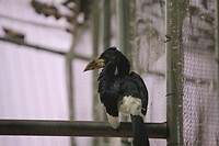 IMG_9401