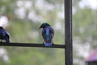 IMG_9402