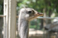 IMG_9403
