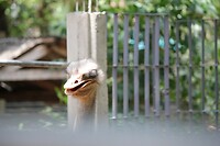 IMG_9404