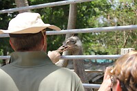 IMG_9407