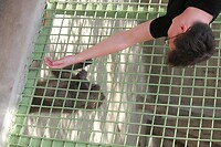 IMG_9410