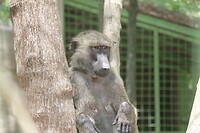 IMG_9411
