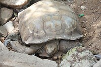 IMG_9412