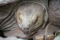 IMG_9413