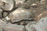 IMG_9414