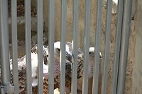 IMG_9417