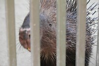 IMG_9418