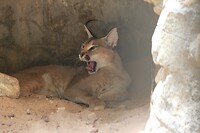 IMG_9420