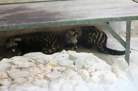 IMG_9422