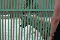 IMG_9423