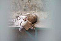 IMG_9425