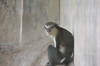 IMG_9426