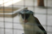 IMG_9427