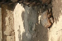 IMG_9428