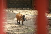 IMG_9429