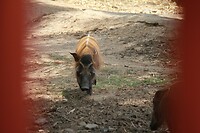 IMG_9430