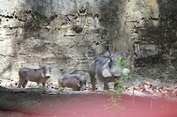 IMG_9431