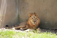 IMG_9432