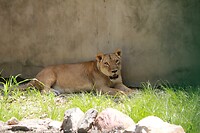 IMG_9433