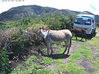 Huancaraylla