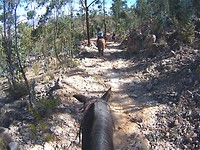 Paardrijden