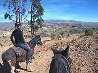 Paardrijden met travelbuddies