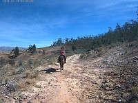 Paardrijden met travelbuddies