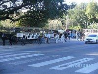 New Orleans (65)