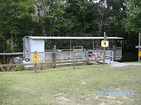 Onze swampboot