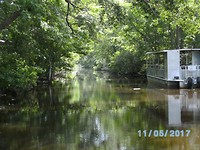 Swamp tour (1)