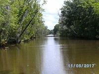 Swamp tour (2)