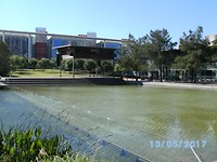Groen (1)