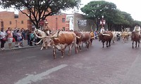 Longhorn - Fort Worth (2)