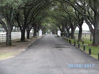 Southfork Ranch Dallas (45)