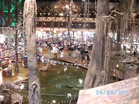 Brass Pro Shops (14)