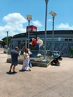 Disney Springs (19)