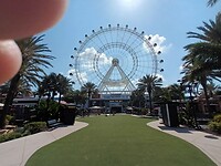 International Drive (16)