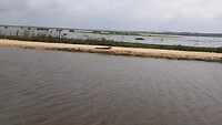 Apopka Wildlife Drive (1)