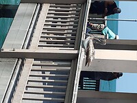 Clearwater Beach (39)